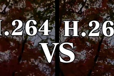 h 264e381a8h 265e381aee98195e38184e381a9e381a1e38289e3818ce889afe38184e381aee3818b