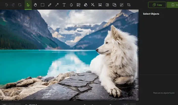 Windows 10のお勧めフォトビューアー トップ10