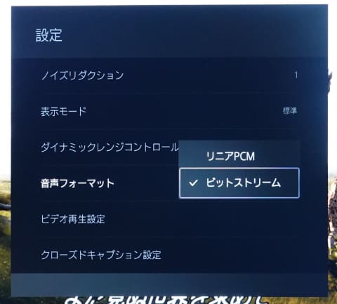 DSC04751 s